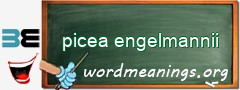 WordMeaning blackboard for picea engelmannii